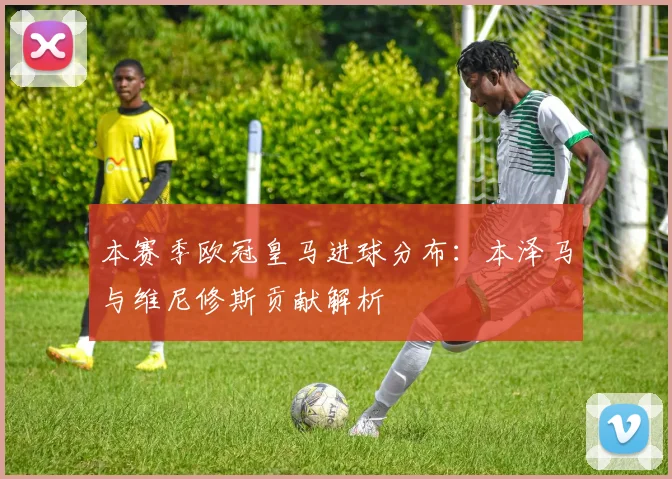 本赛季欧冠皇马进球分布：本泽马与维尼修斯贡献解析